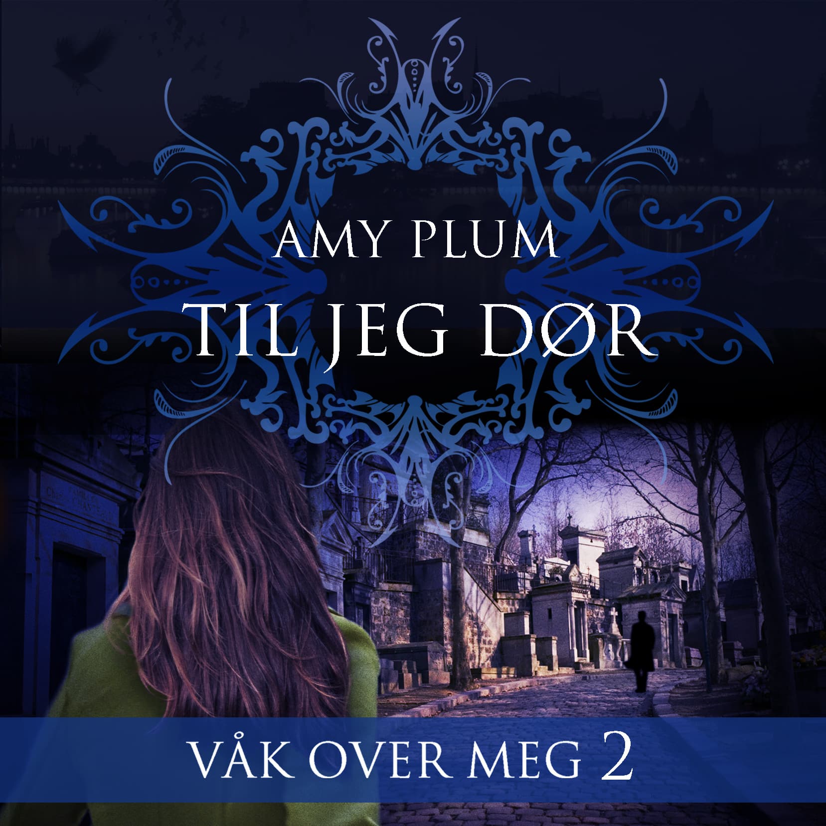 Omslag Til jeg dør av Amy Plum (Lydbok)