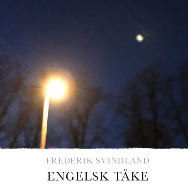 Omslag av "Engelsk tåke"