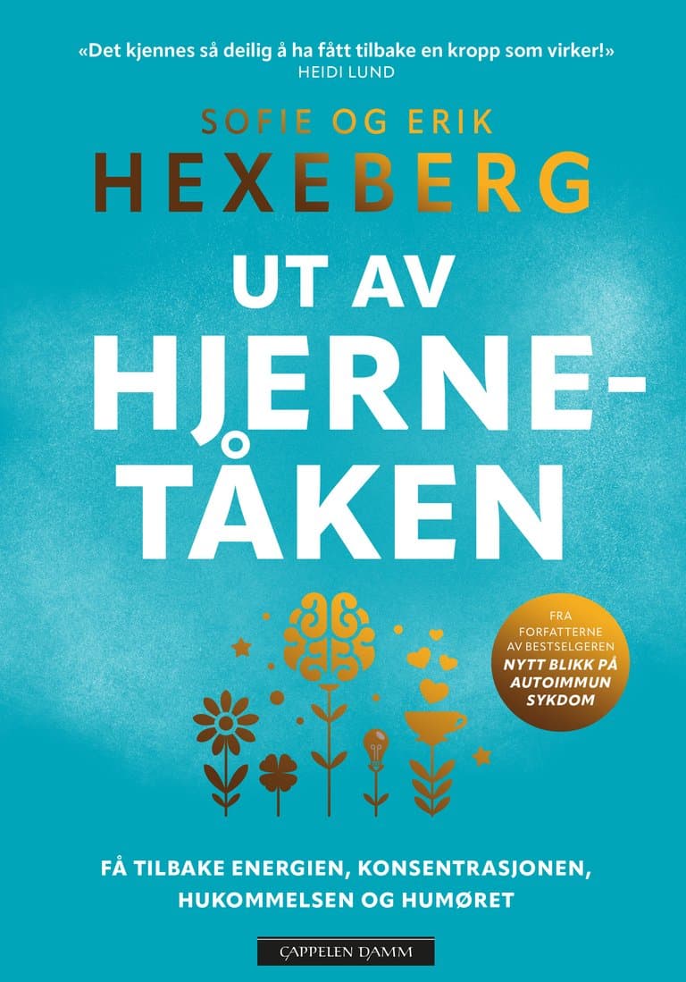 Omslag Ut av hjernetåken av Erik Hexeberg og Sofie Hexeberg (Heftet)