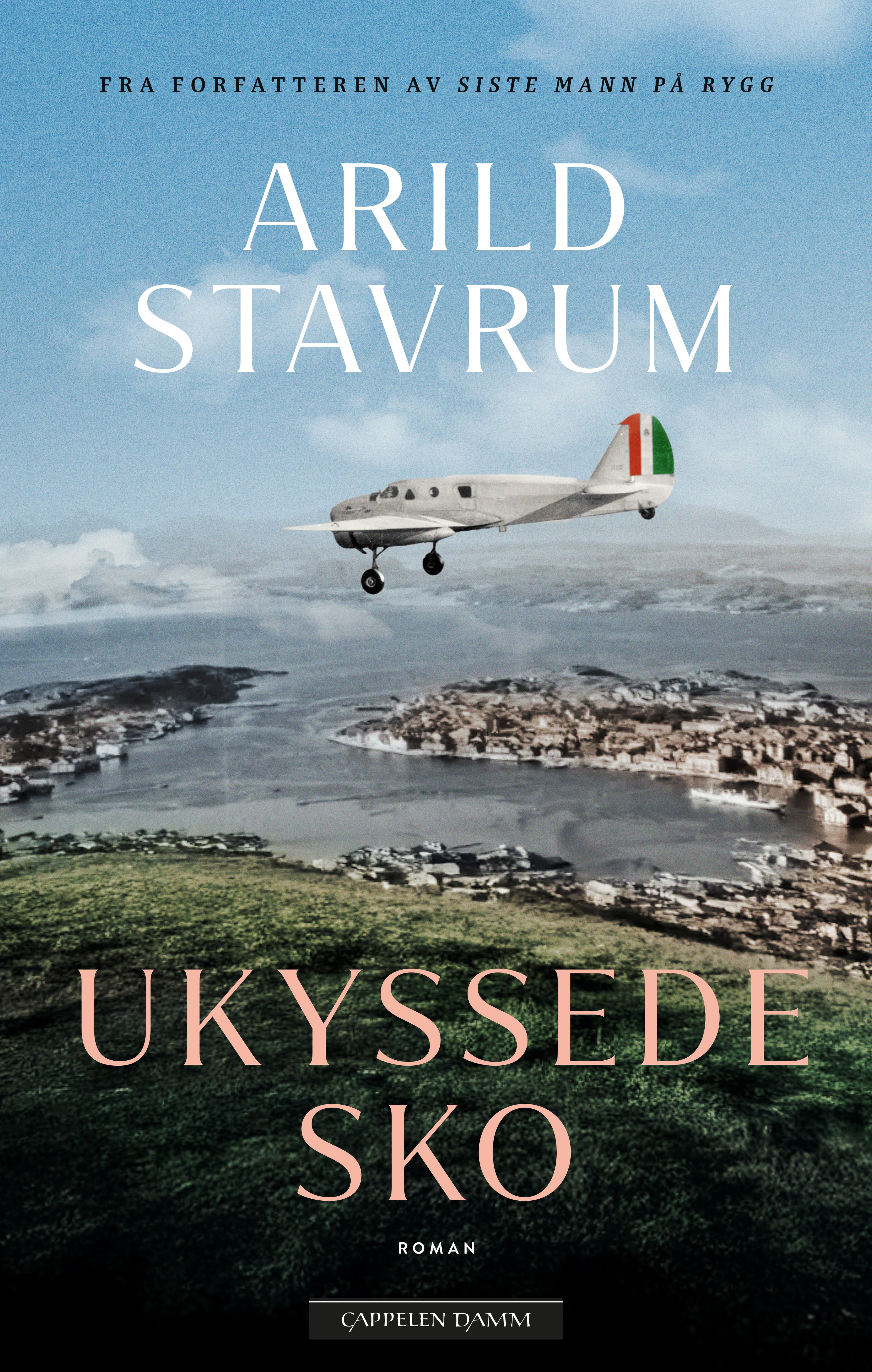 Omslag Ukyssede sko av Arild Stavrum (Innbundet)