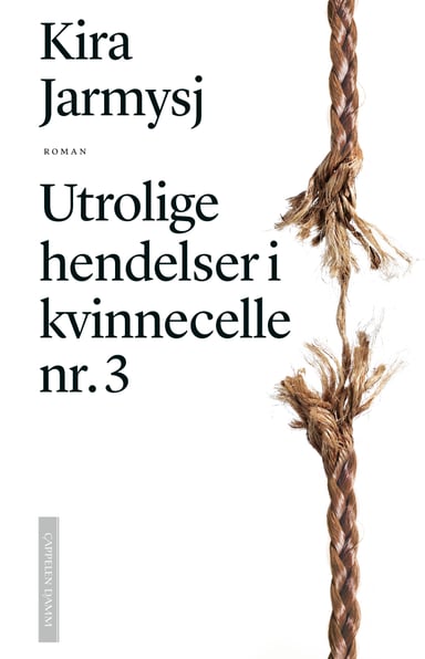 Omslag av "Utrolige hendelser i kvinnecelle nr. 3"