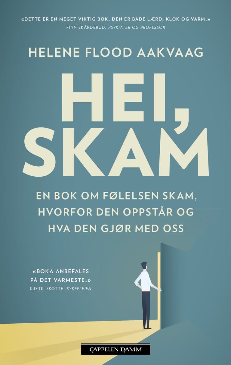Omslag Hei, skam av Helene Flood Aakvaag (Ebok)