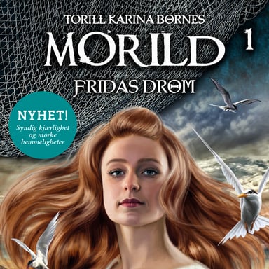 Omslag av "Fridas drøm"