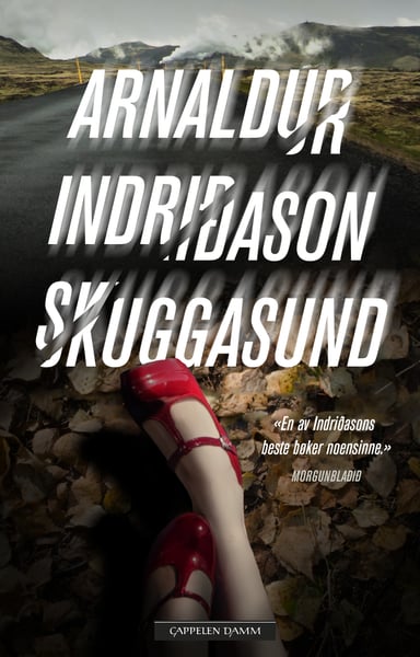 Omslag av "Skuggasund"