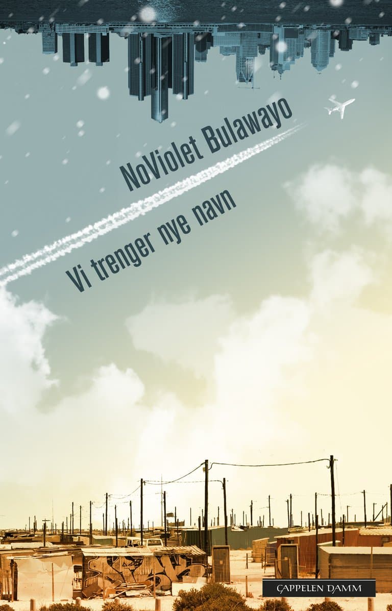 Omslag Vi trenger nye navn av NoViolet Bulawayo (Innbundet)