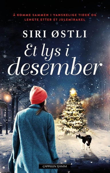 Omslag av "Et lys i desember"