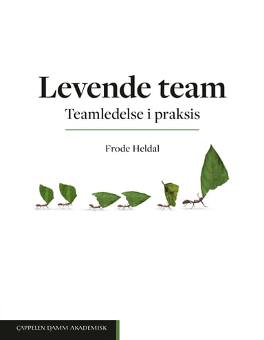 Omslag av "Levende team"