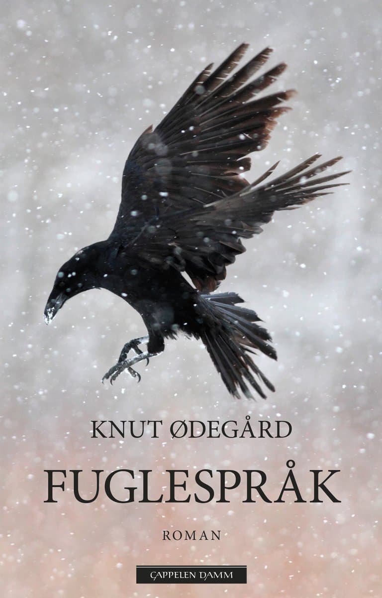 Omslag Fuglespråk av Knut Ødegård (Innbundet)