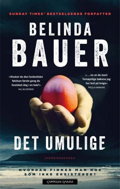 Omslag av "Det umulige"