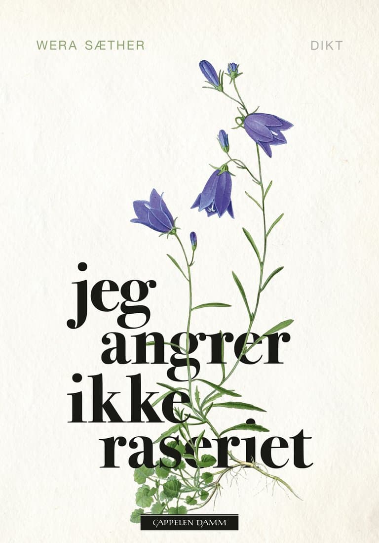Omslag Jeg angrer ikke raseriet av Wera Sæther (Innbundet)