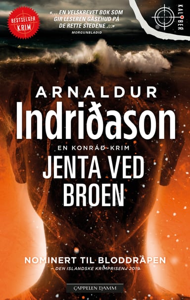 Omslag av "Jenta ved broen"