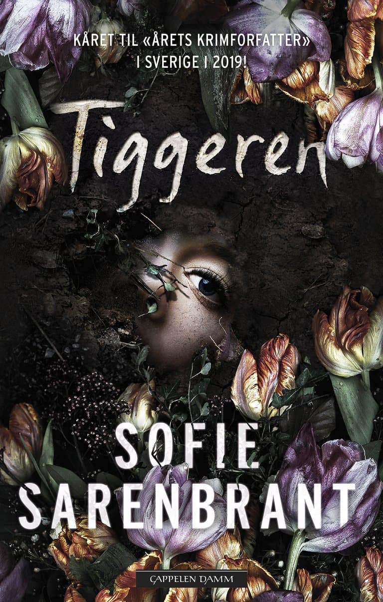 Omslag Tiggeren av Sofie Sarenbrant (Innbundet)