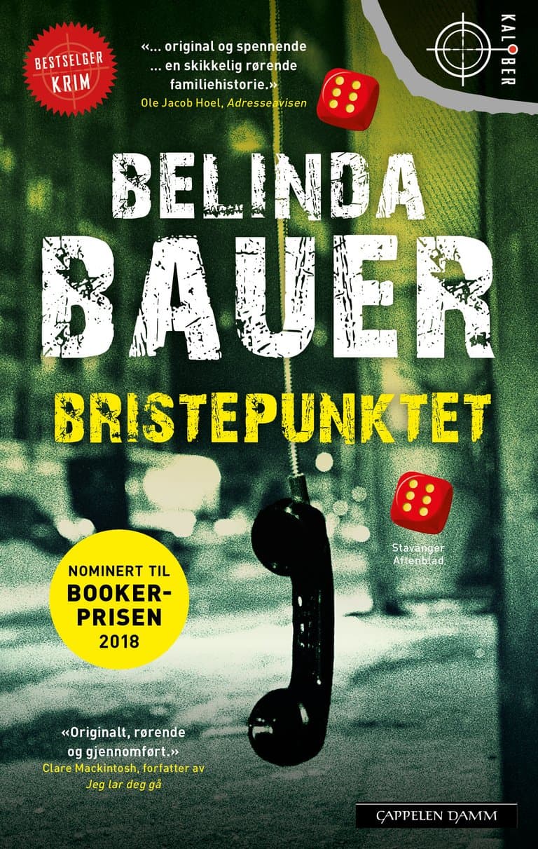Omslag Bristepunktet av Belinda Bauer (Ebok)