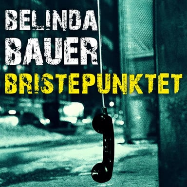 Omslag av "Bristepunktet"