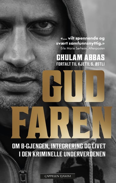 Omslag av "Gudfaren"