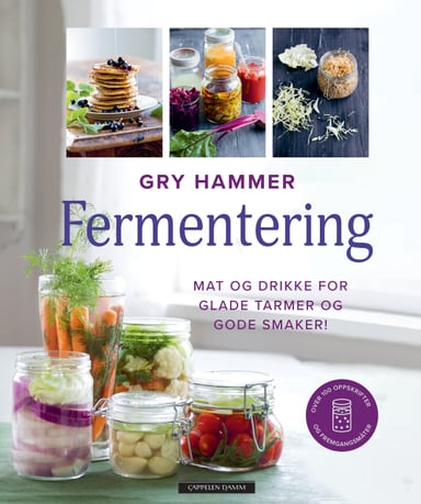 Omslag av "Fermentering"