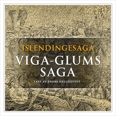 Omslag av "Viga-Glums saga"
