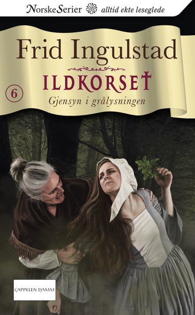 Omslag av "Gjensyn i grålysningen"