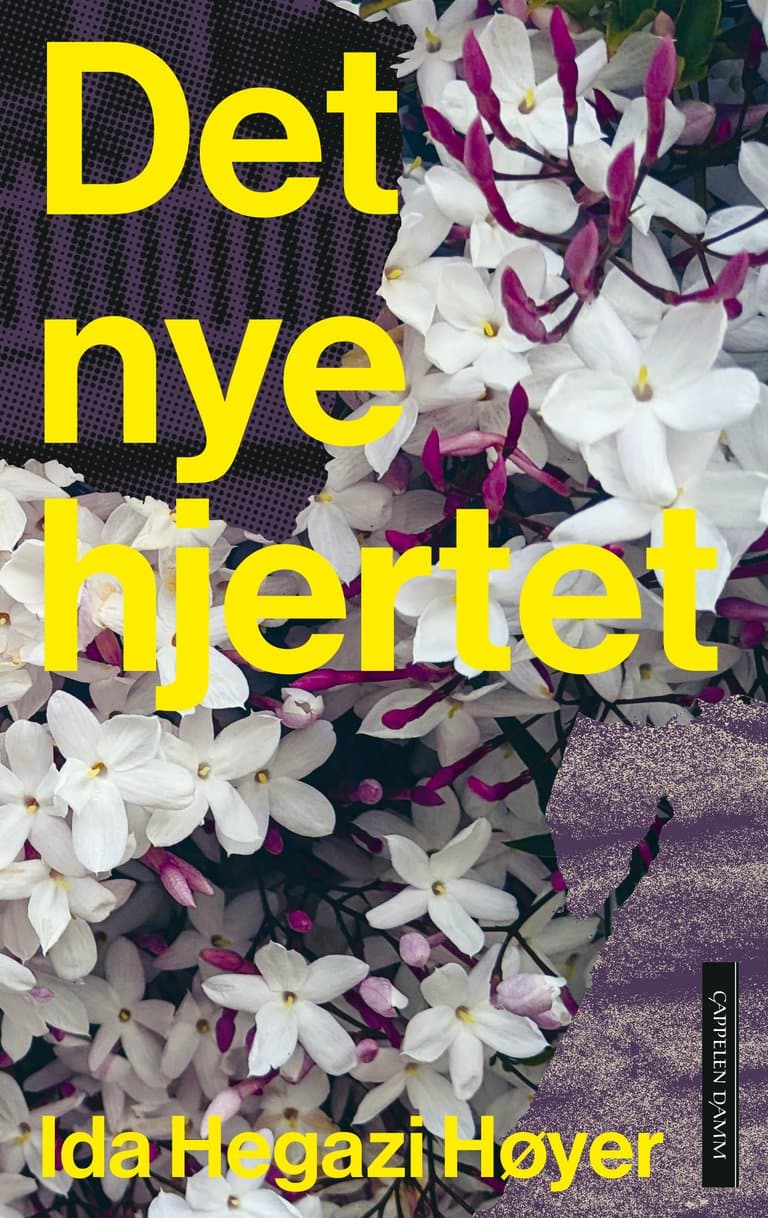 Omslag Det nye hjertet av Ida Hegazi Høyer (Innbundet)