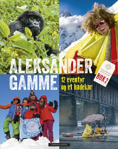 Omslag av "12 eventyr og et badekar"