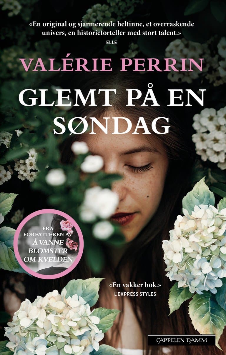 Omslag Glemt på en søndag av Valérie Perrin (Heftet)