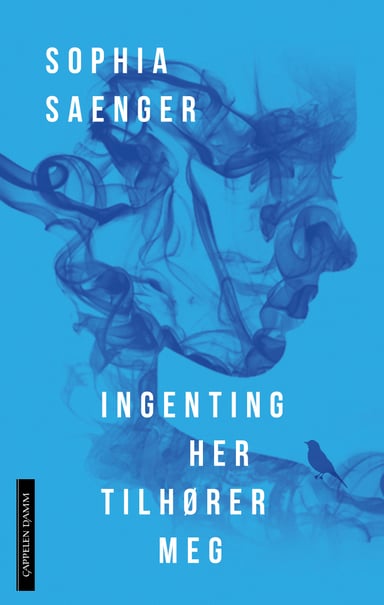 Omslag av "Ingenting her tilhører meg"