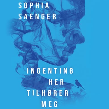 Omslag av "Ingenting her tilhører meg"