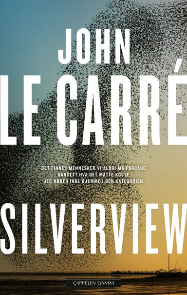 Omslag av "Silverview"