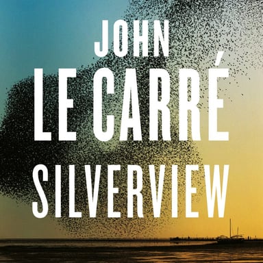 Omslag av "Silverview"