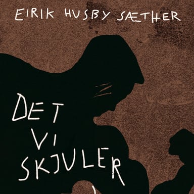 Omslag av "Det vi skjuler"
