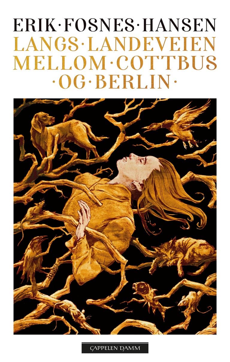 Omslag Langs landeveien mellom Cottbus og Berlin av Erik Fosnes Hansen (Ebok)