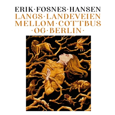 Omslag av "Langs landeveien mellom Cottbus og Berlin"