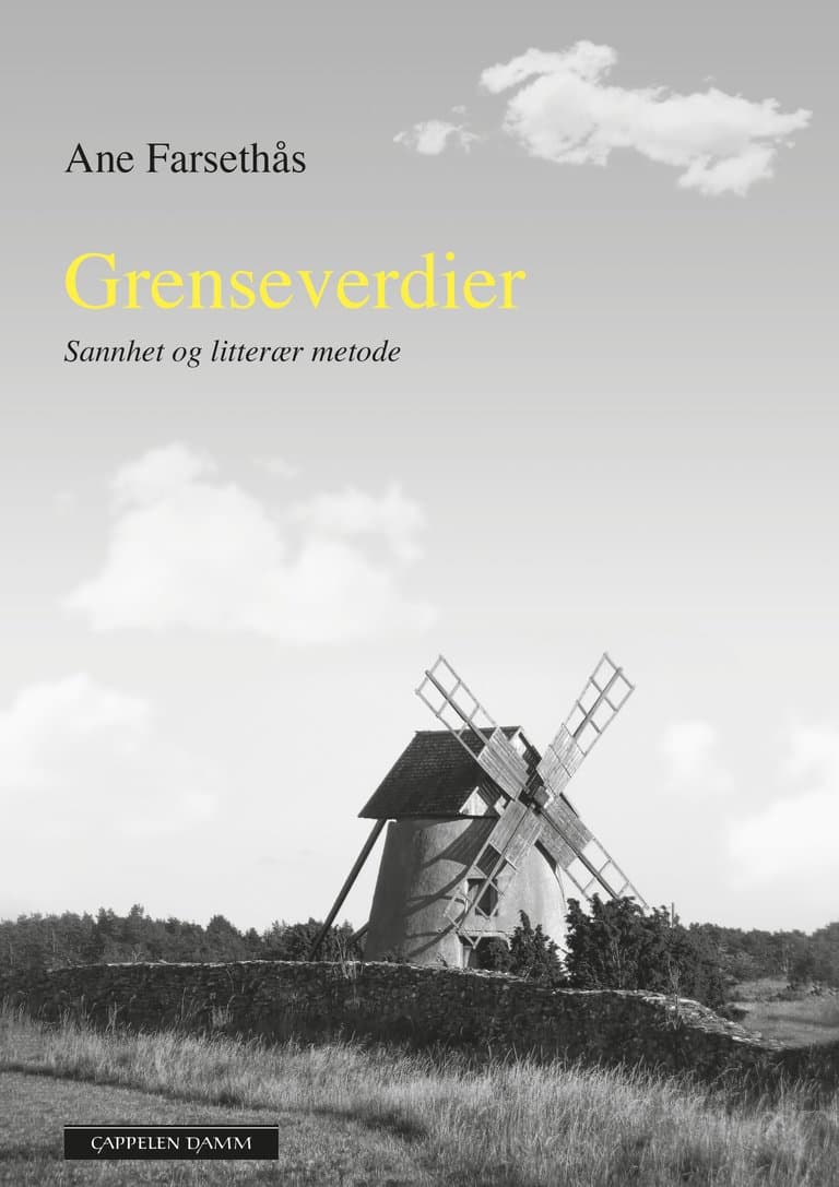 Omslag Grenseverdier av Ane Farsethås (Ebok)