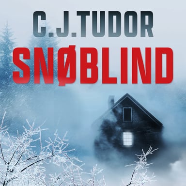 Omslag av "Snøblind"