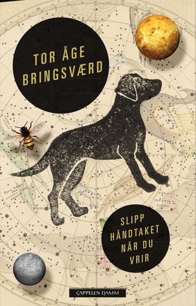 Omslag av "Slipp håndtaket når du vrir"