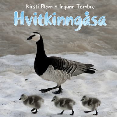 Hvitkinngåsa