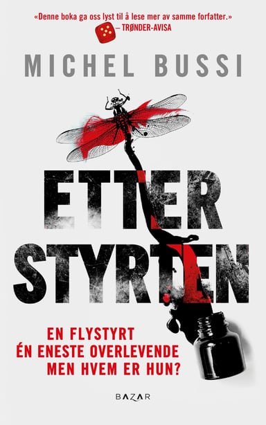 Omslag av "Etter styrten"