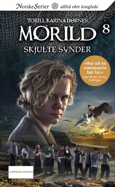 Omslag av "Skjulte synder"