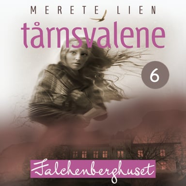 Omslag av "Falchenberghuset"