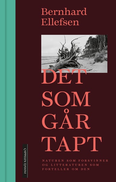 Omslag av "Det som går tapt"
