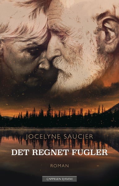 Omslag av "Det regnet fugler"