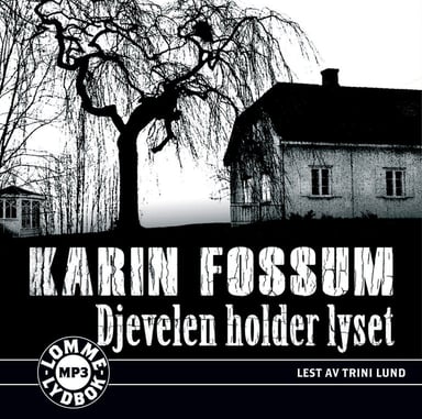 Omslag av "Djevelen holder lyset"