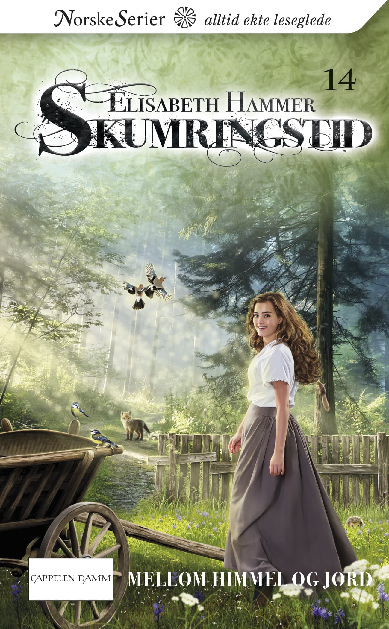 Omslag Mellom himmel og jord av Elisabeth Hammer (Ebok)