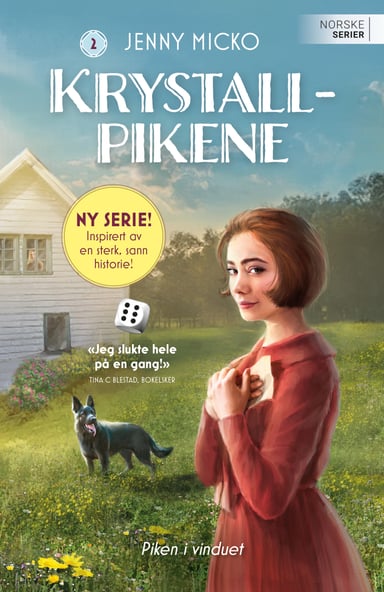 Omslag av "Piken i vinduet"