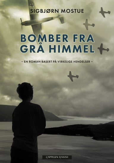 Omslag av "Bomber fra grå himmel"