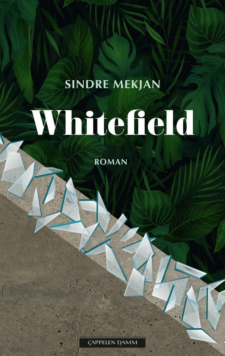 Omslag Whitefield av Sindre Mekjan (Ebok)