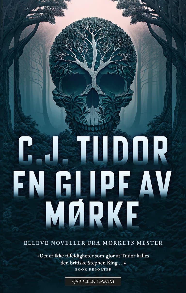 Omslag En glipe av mørke av C.J. Tudor (Heftet)