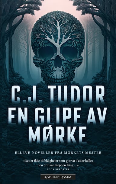 Omslag av "En glipe av mørke"