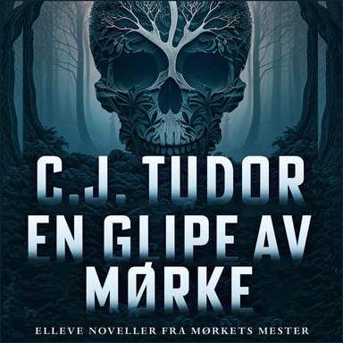 Omslag av "En glipe av mørke"