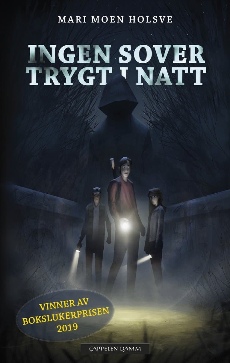 Omslag Ingen sover trygt i natt av Mari Moen Holsve (Heftet)